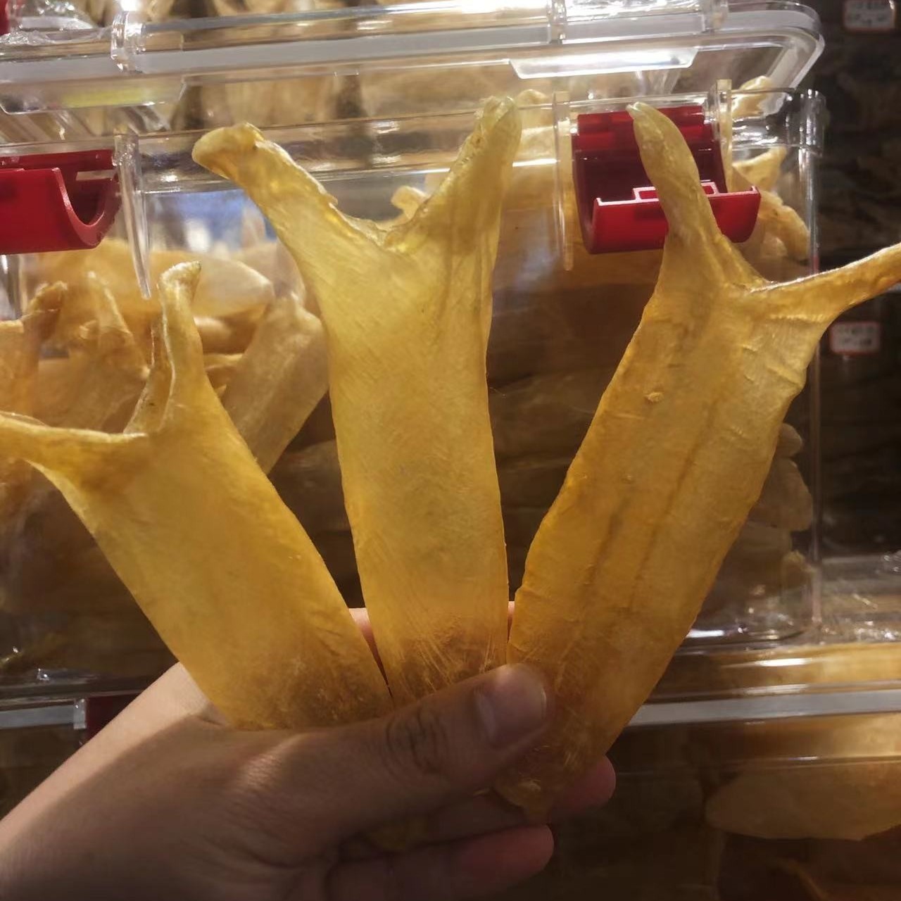 珠海龙发黄花胶筒