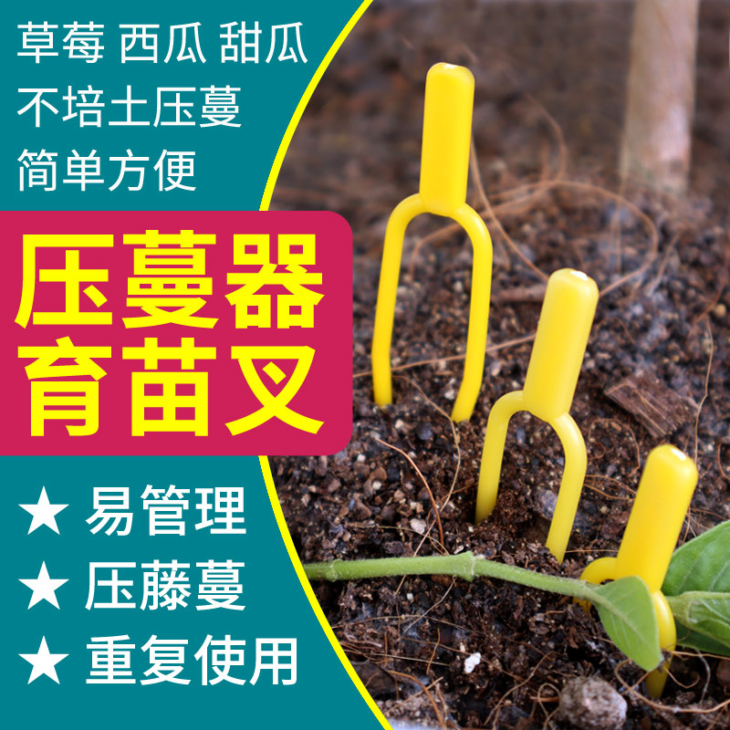 莓草育苗叉莓草压蔓器固定生根西瓜压蔓器甜瓜西瓜压蔓叉压蔓神器