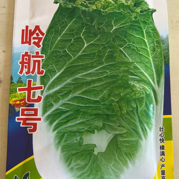 ⭐️岭航七号白菜种子⭐️