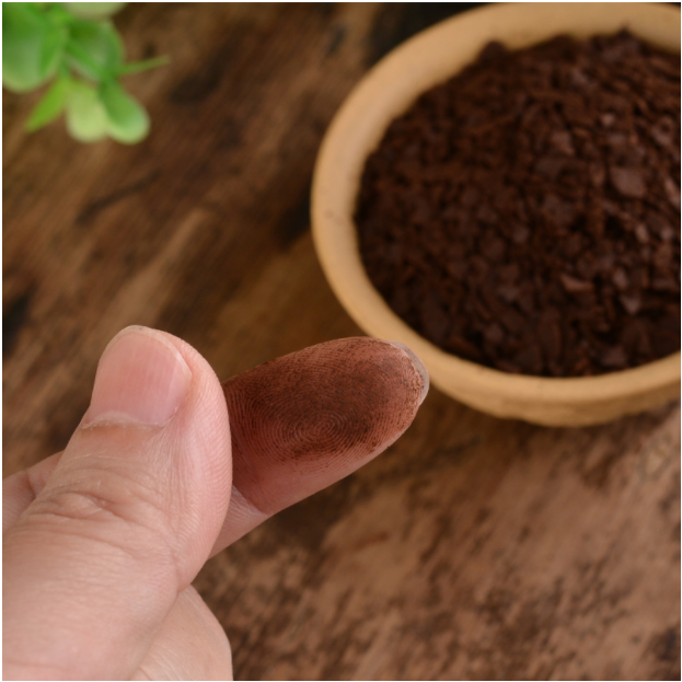 长白山灵芝孢子粉500g