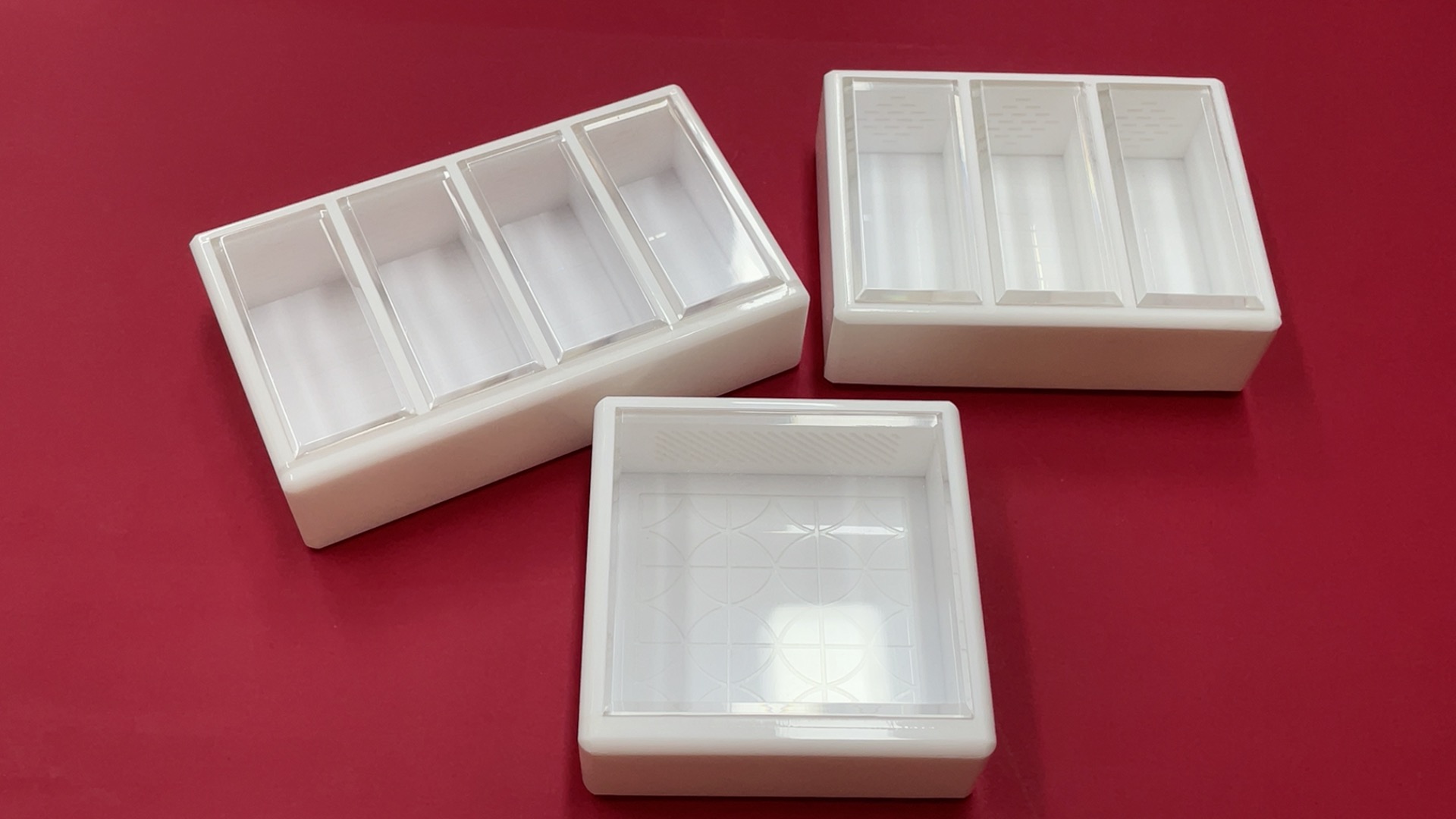 新到多格竹蛉盒养金钟竹蛉仙子马蛉黑虫白虫电报蛉黄蛉等