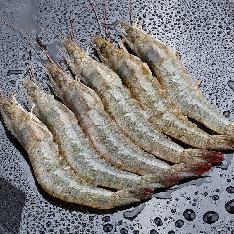 连云港 新鲜速冻海水大虾 20/30规格 净重3.3斤/盒