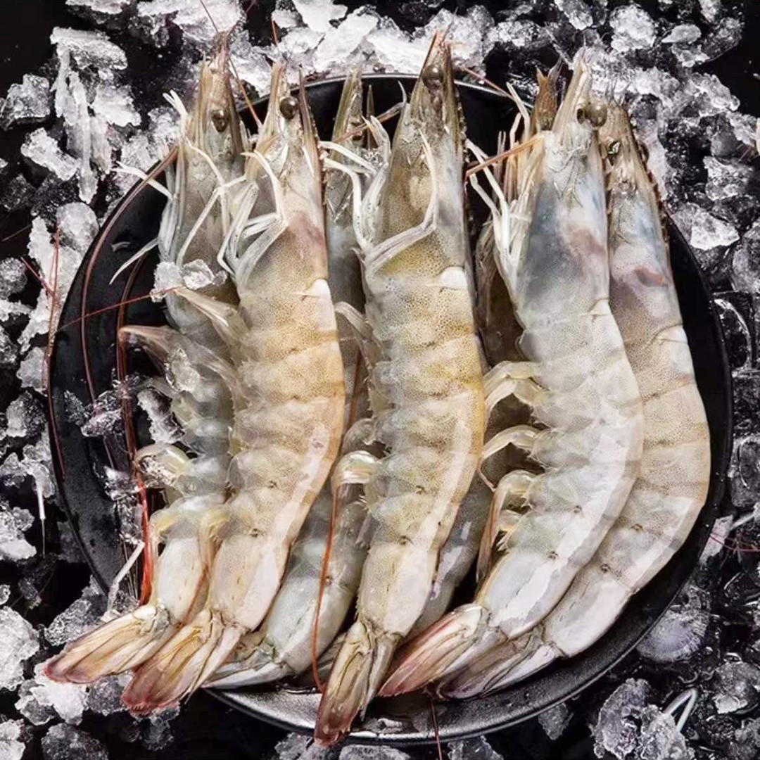 大虾20厘米左右大号海虾活虾速冻