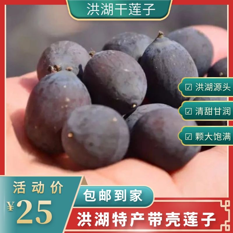 楚乡瑶湖北洪湖农家自种干货楚乡瑶精选黑壳莲子500g/包 【包邮】