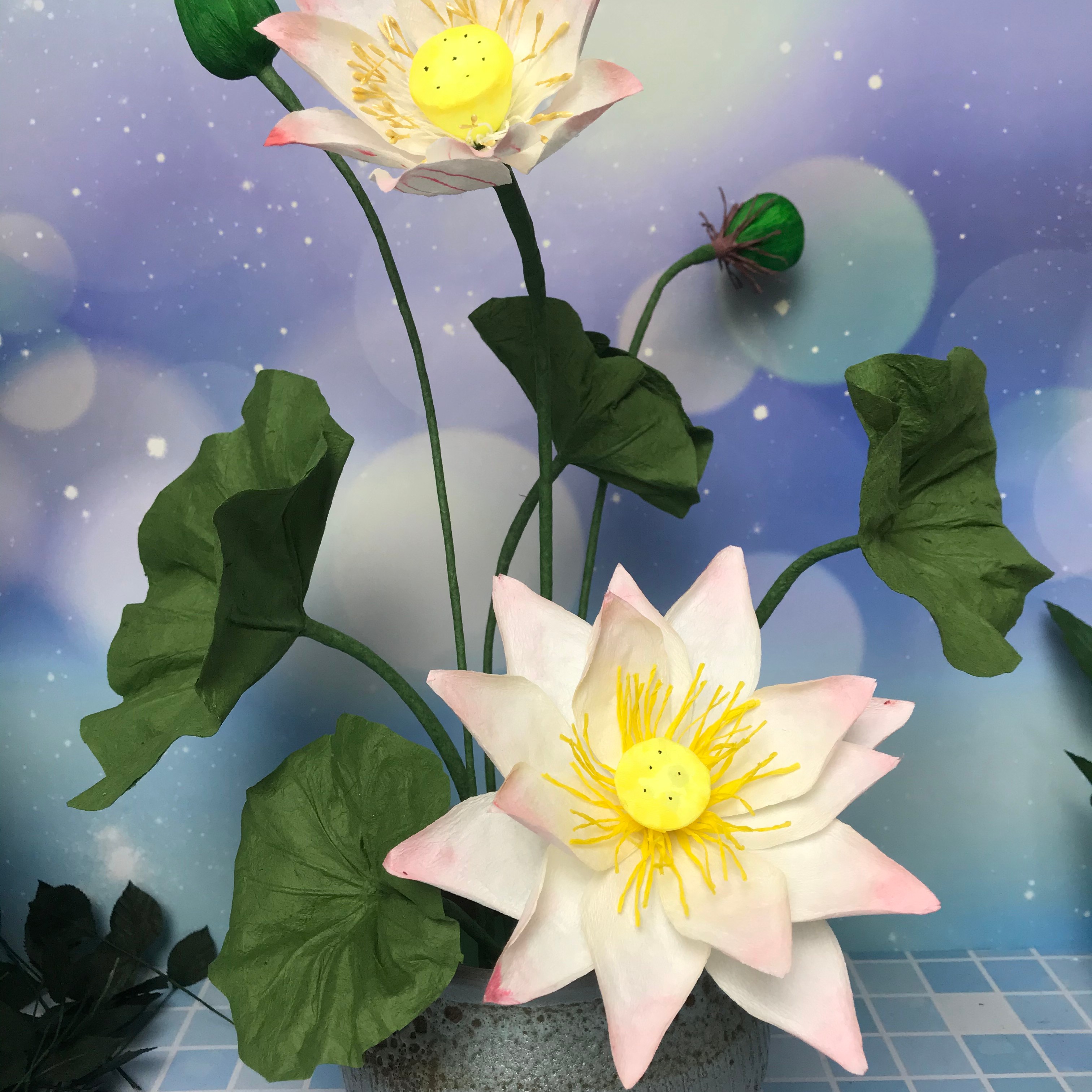 纸艺花/小荷花模版