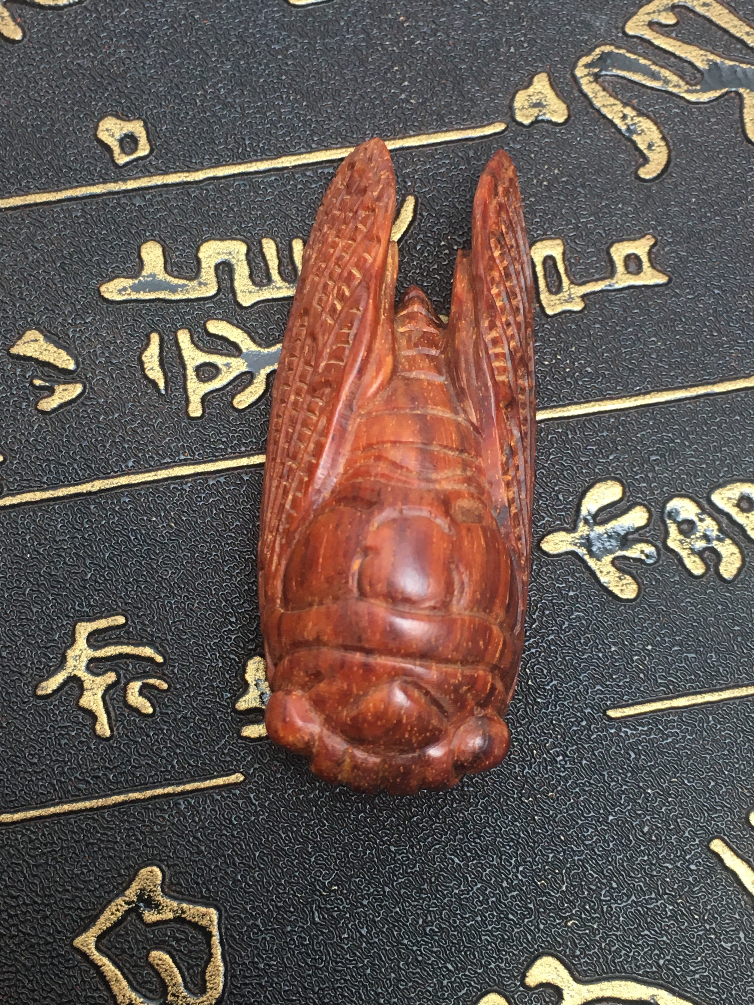 印度小叶紫檀（一鸣惊人）