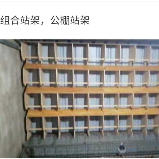 实木鸽子栖架防水板粪抽不锈钢鸽具组合站架
