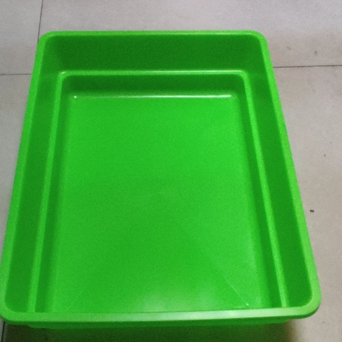 鸽子多种多样化洗澡盆