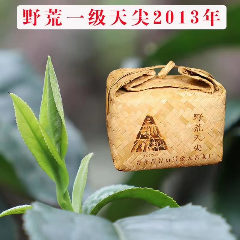 九龙池白岩山9年陈白岩山荒野天尖安化黑茶
