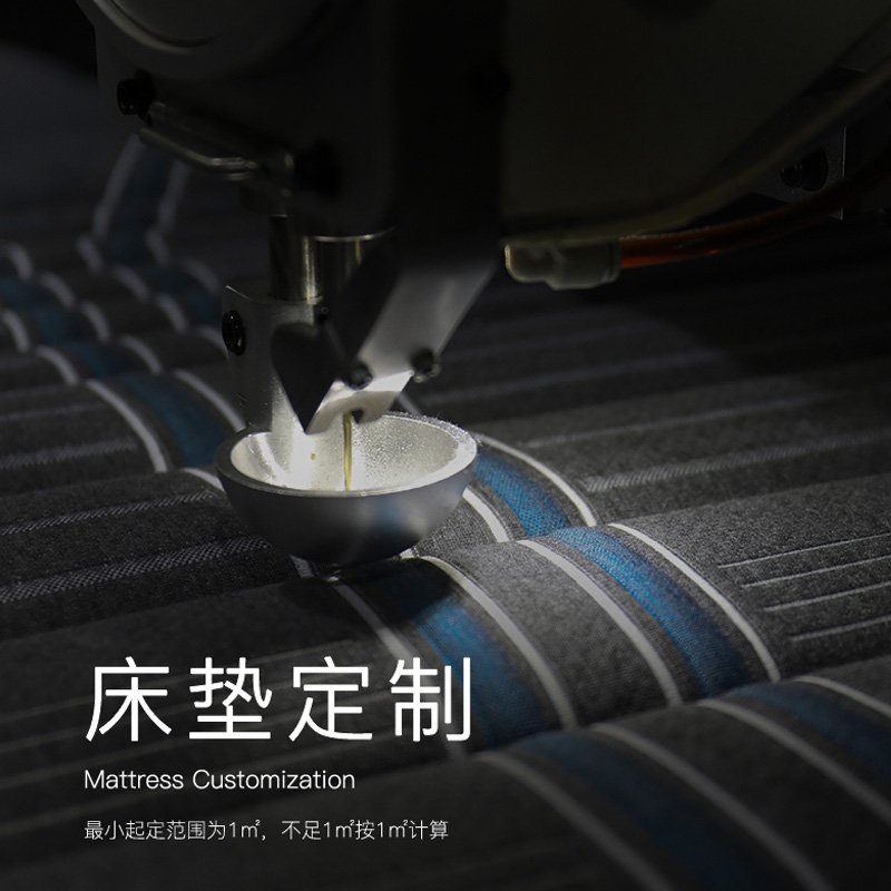 大自然山棕植物床垫补差护脊支持定制特殊尺寸榻榻米棕垫 高价