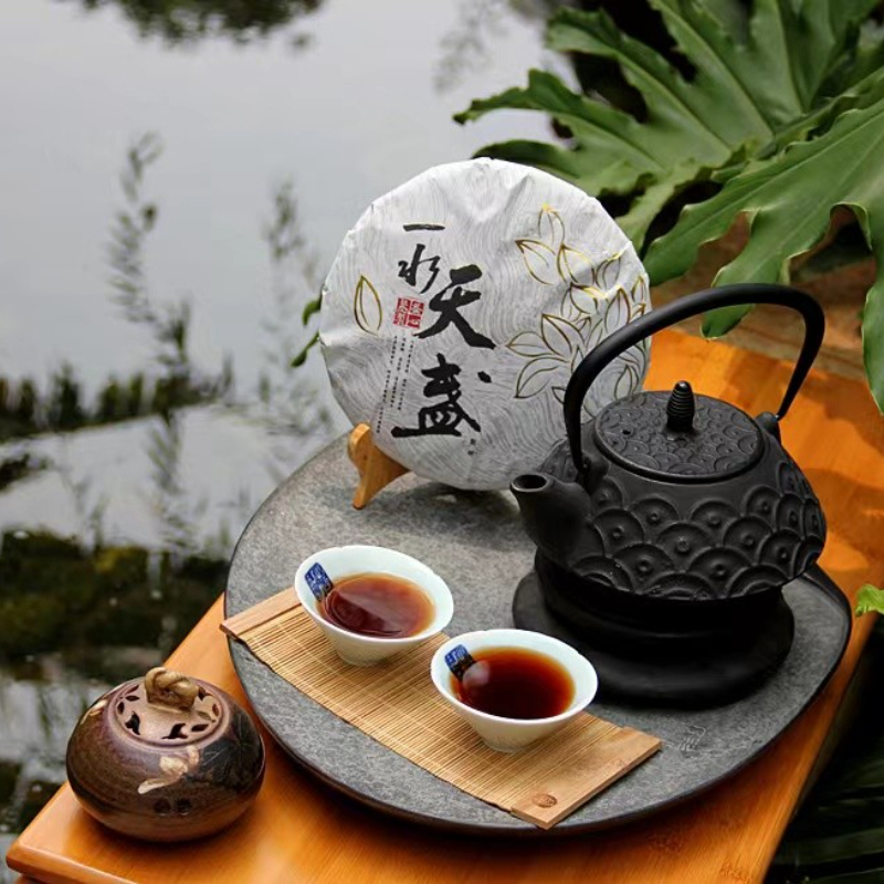 益心泉一水天盏2009年宫廷熟茶勐海料