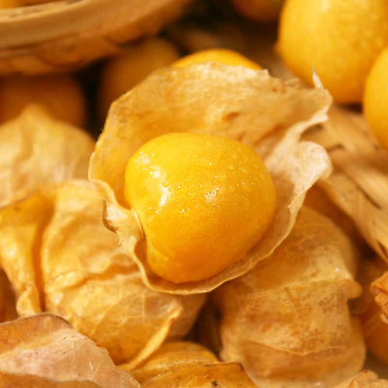 东北姑娘果2斤特产菇娘果厚皮香甜新鲜水果包邮