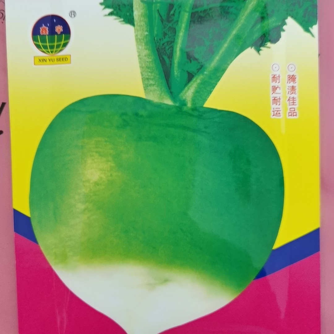 好再来福园芥菜种子