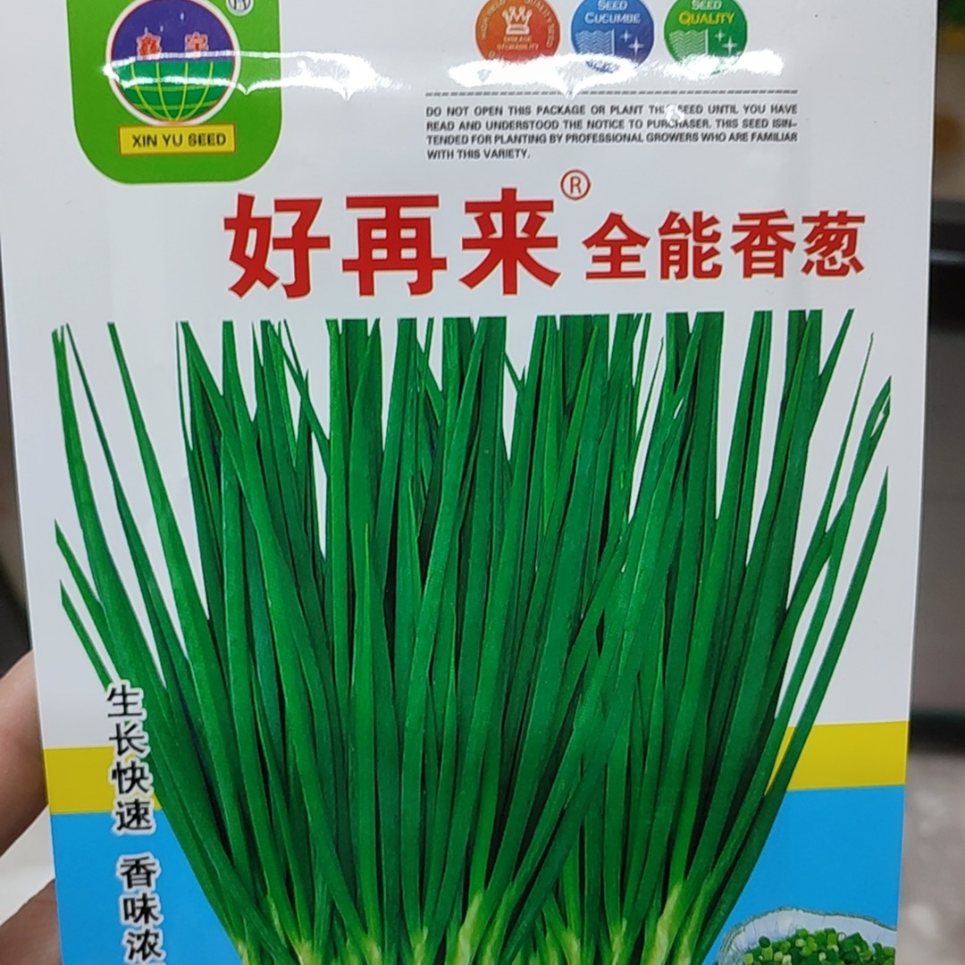 好再来全能香葱种子