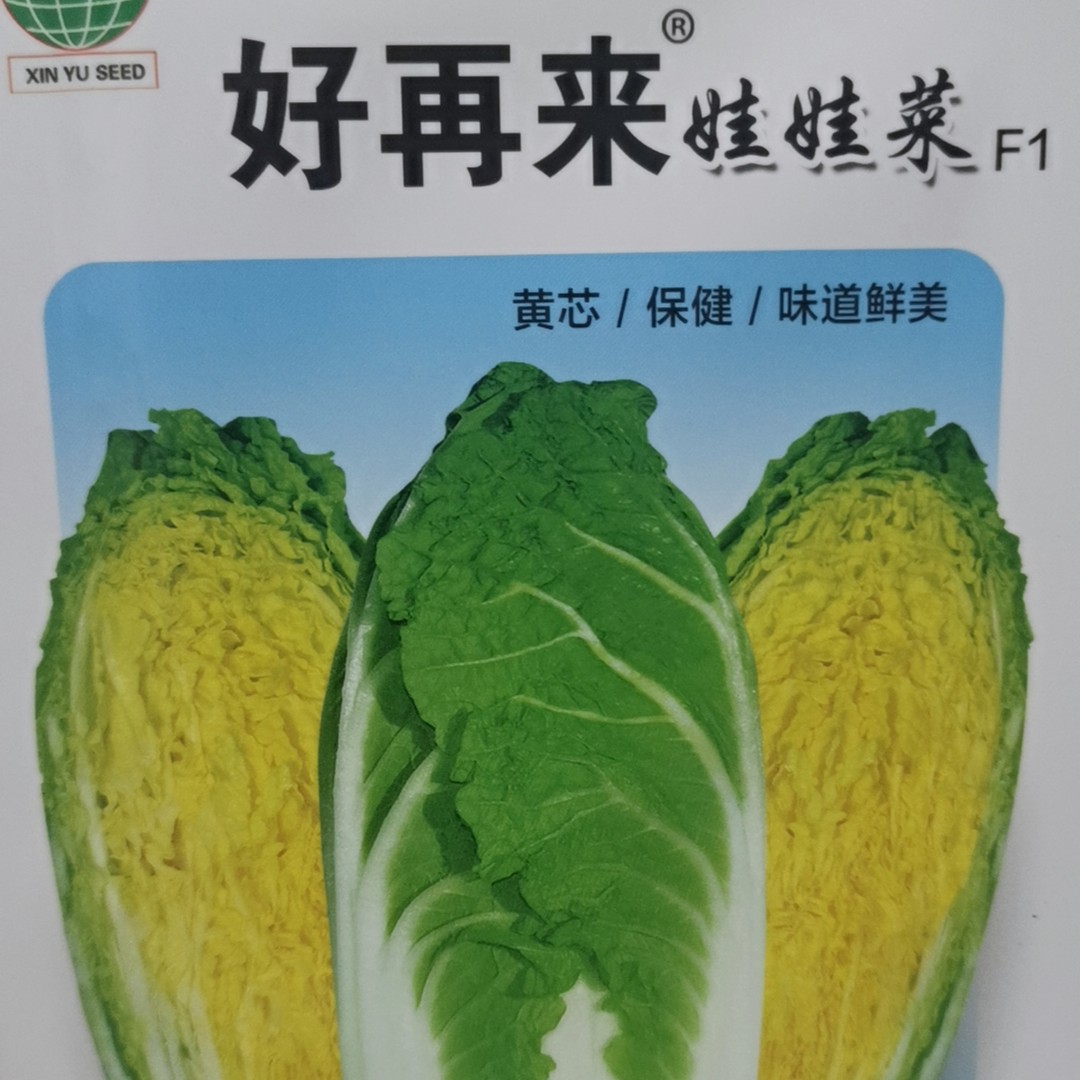 娃娃菜籽  种子种子     