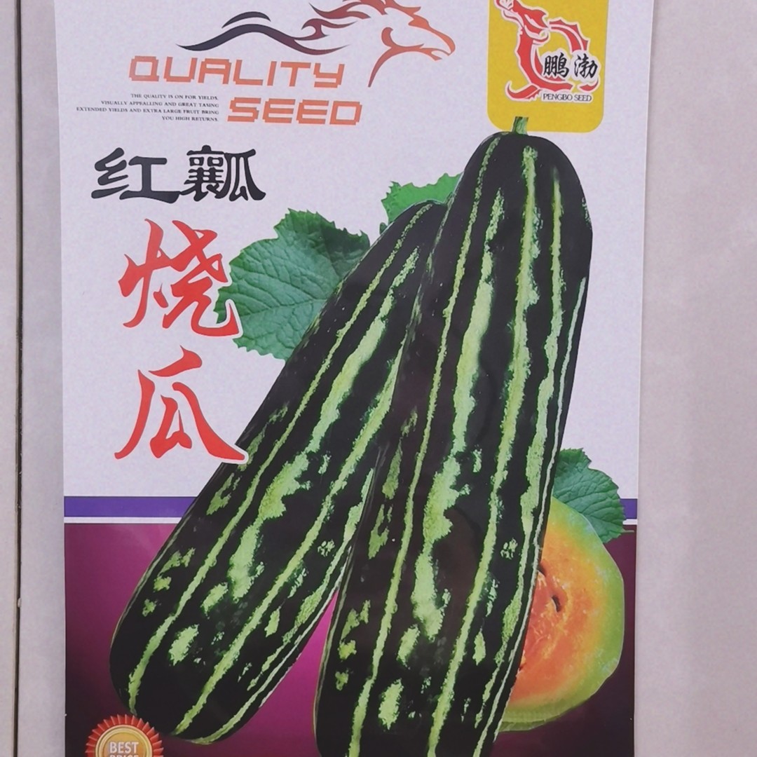 红壤烧瓜菜籽种子