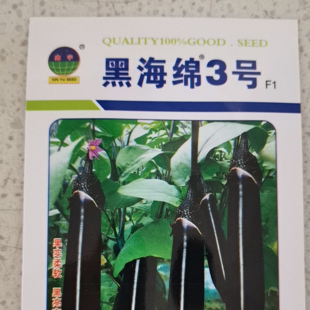 黑海绵3号茄子籽    