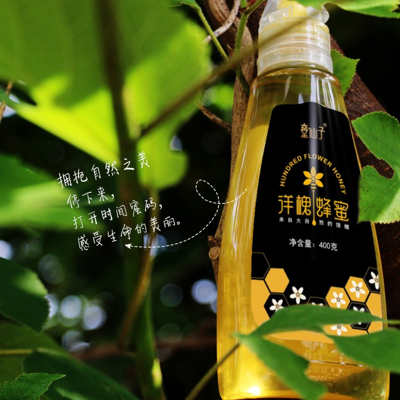 铜陵特产 洋槐蜂蜜挤压口400g 早餐牛奶代餐伴侣