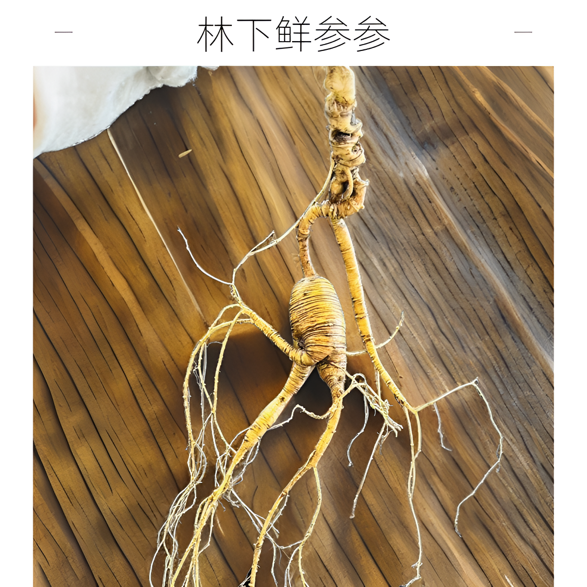 长白山 林下鲜参 带土新鲜人参 高质量人参