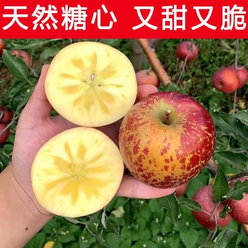 糖心苹果香甜脆口真好吃