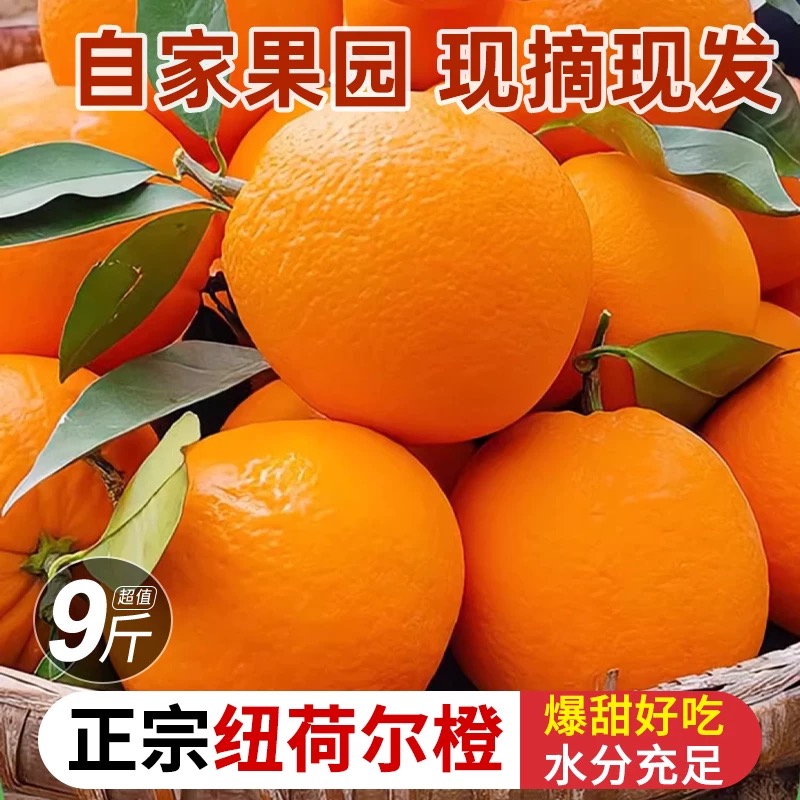 湖北秭归正宗纽荷尔脐橙新鲜采摘脐橙高山橙子榨汁秭归薄皮甜橙
