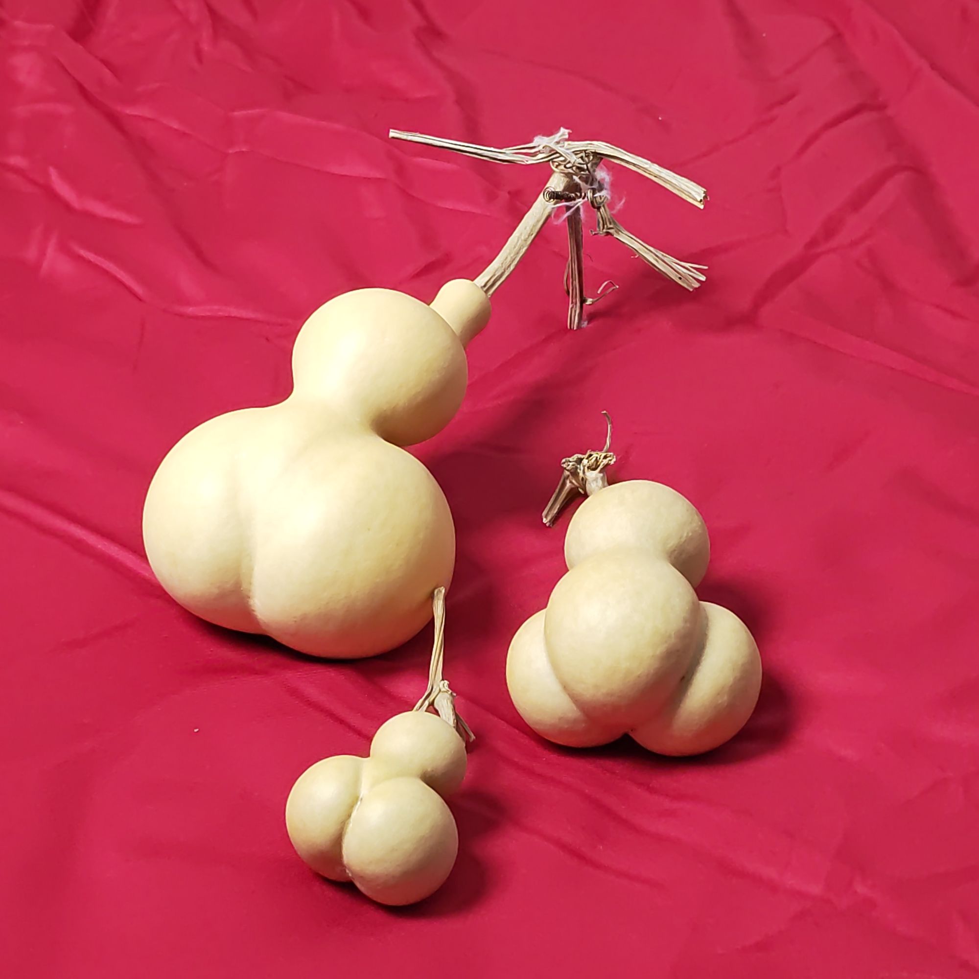 天然葫芦摆件文玩手捻手把件金蝉葫芦三庭杆子直播专享