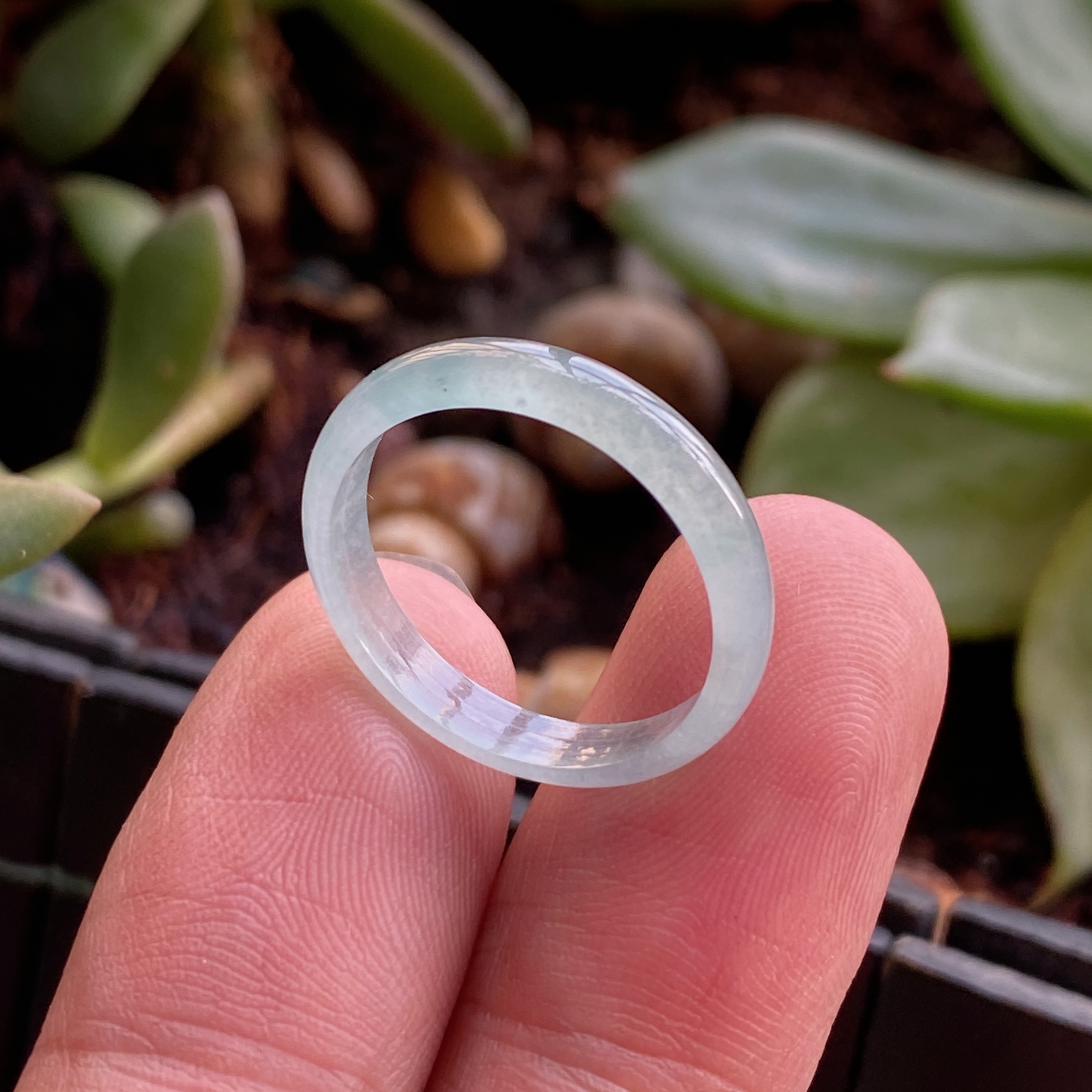 6609832天然翡翠正品A货高冰种白月光美人条戒指指环通透17号