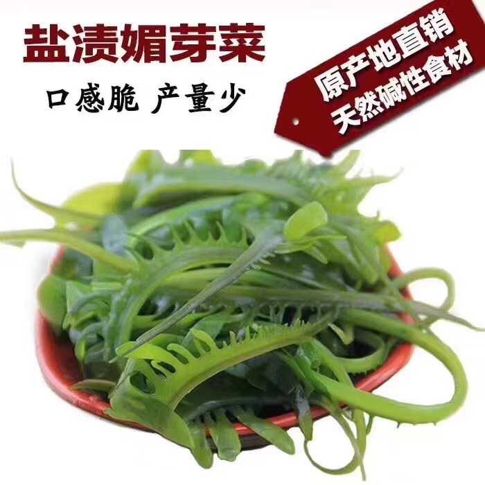 威海荣成裙带芽菜也叫睫毛菜，凉拌涮火锅等等