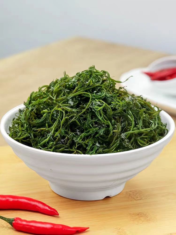 威海荣成马尾藻，野生海洋蔬菜可以凉拌做汤包包子包饺子