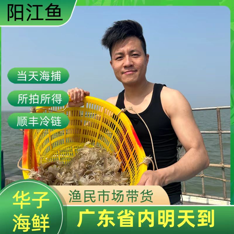 广东阳江闸坡码头海鲜套餐直播间改价三斤起拍