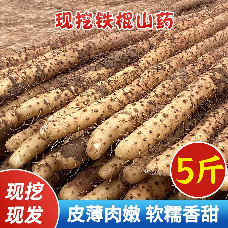 【正宗5斤】铁棍山药新鲜精品软糯香甜营养高原产地山药精品装