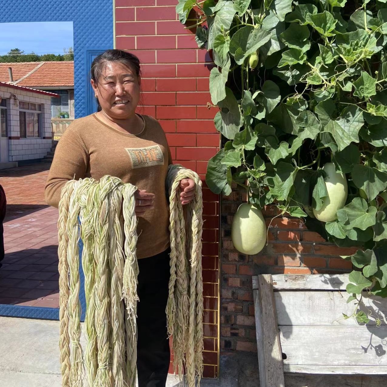 农家自制葫芦条500克  包邮