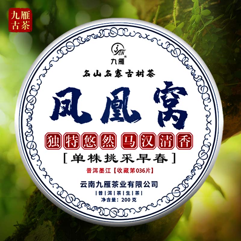  九雁凤凰窝古树普洱生茶 单株早春挑采 200克/饼