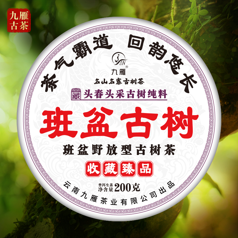  九雁2022年班盆古树普洱生茶 古树纯料茶  200克/饼
