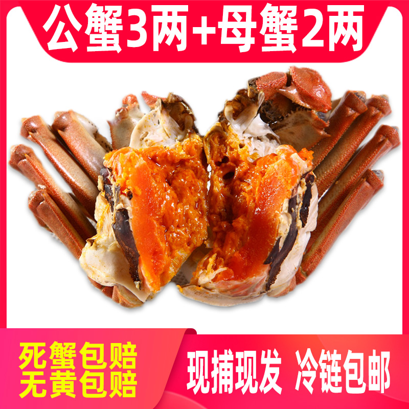 【活蟹】大螃蟹公蟹3两可全母蟹2两8只螃蟹鲜 活现货礼盒装包邮特大