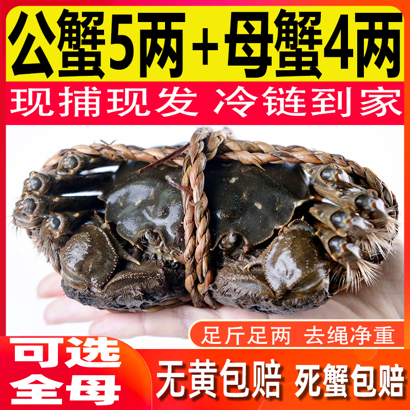 【活蟹】大螃蟹公蟹5两母蟹4.0两4-8只送2只鲜活现货特大礼盒装包邮