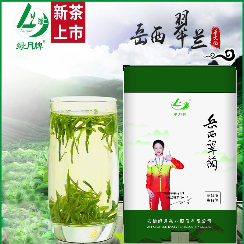 2025新茶岳西翠兰明前一级高山云雾绿茶250g盒装茶叶国宾礼茶包邮