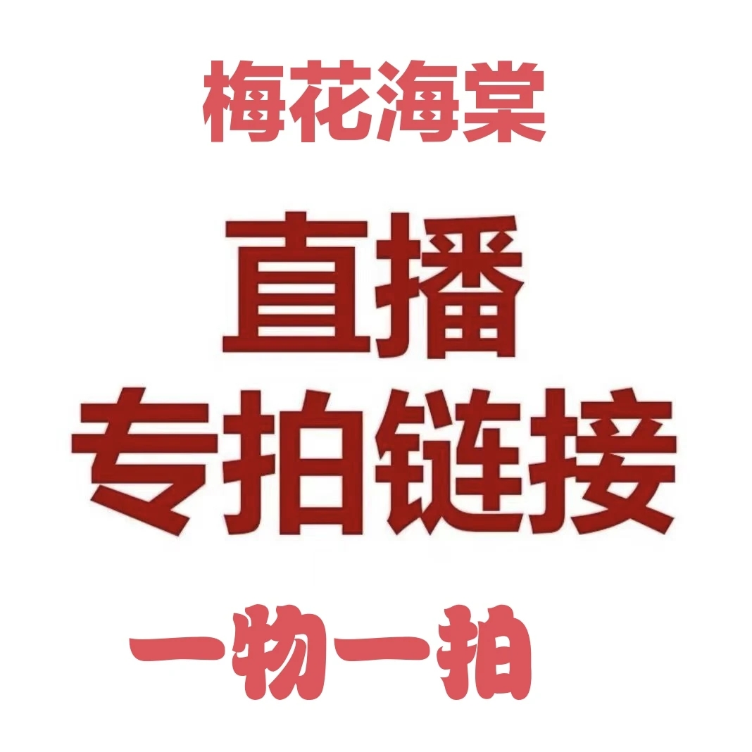 梅花海棠盆景【1-100元专拍链接】