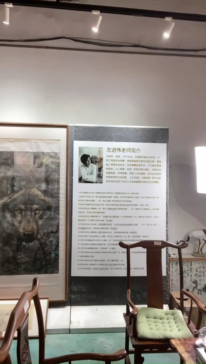 【闪购商品】绘画左进伟2（写意荷花）