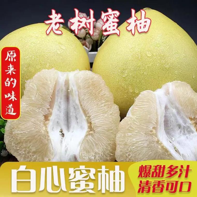 梅州蜜柚高山老树果白肉柚50斤袋装