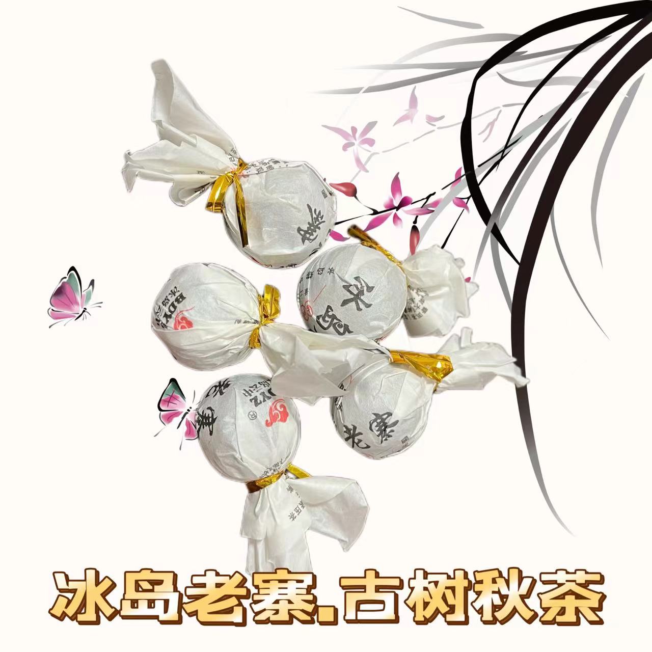 2022年冰岛老寨古树秋茶纯料普洱茶 原生态生茶无任何农残激素