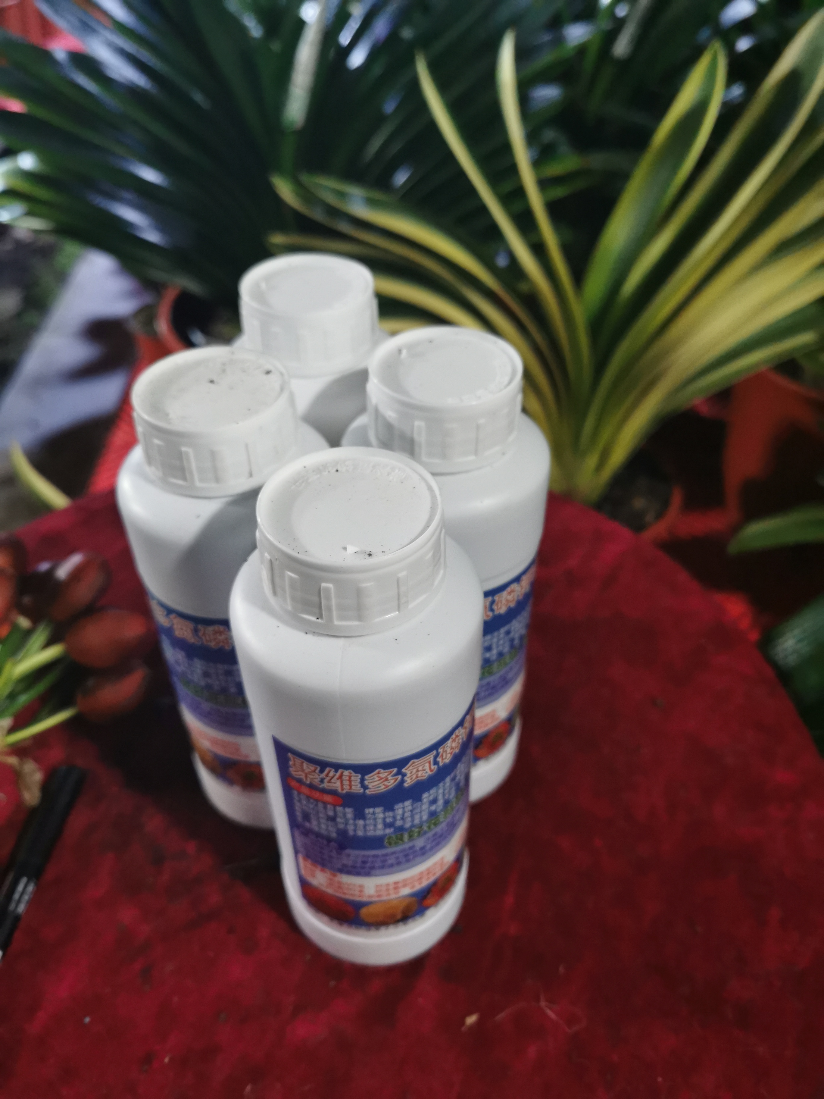 丹麦进口泥炭土里面兑木炭河沙粒松针珍珠岩养花护根