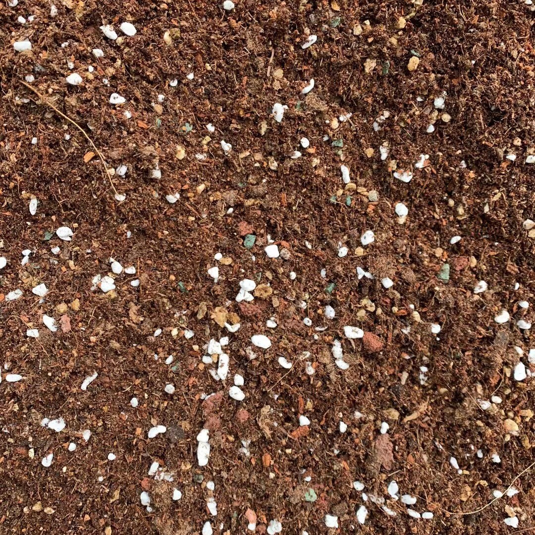 多肉配方土，进口泥炭土和其他颗粒土科学配比