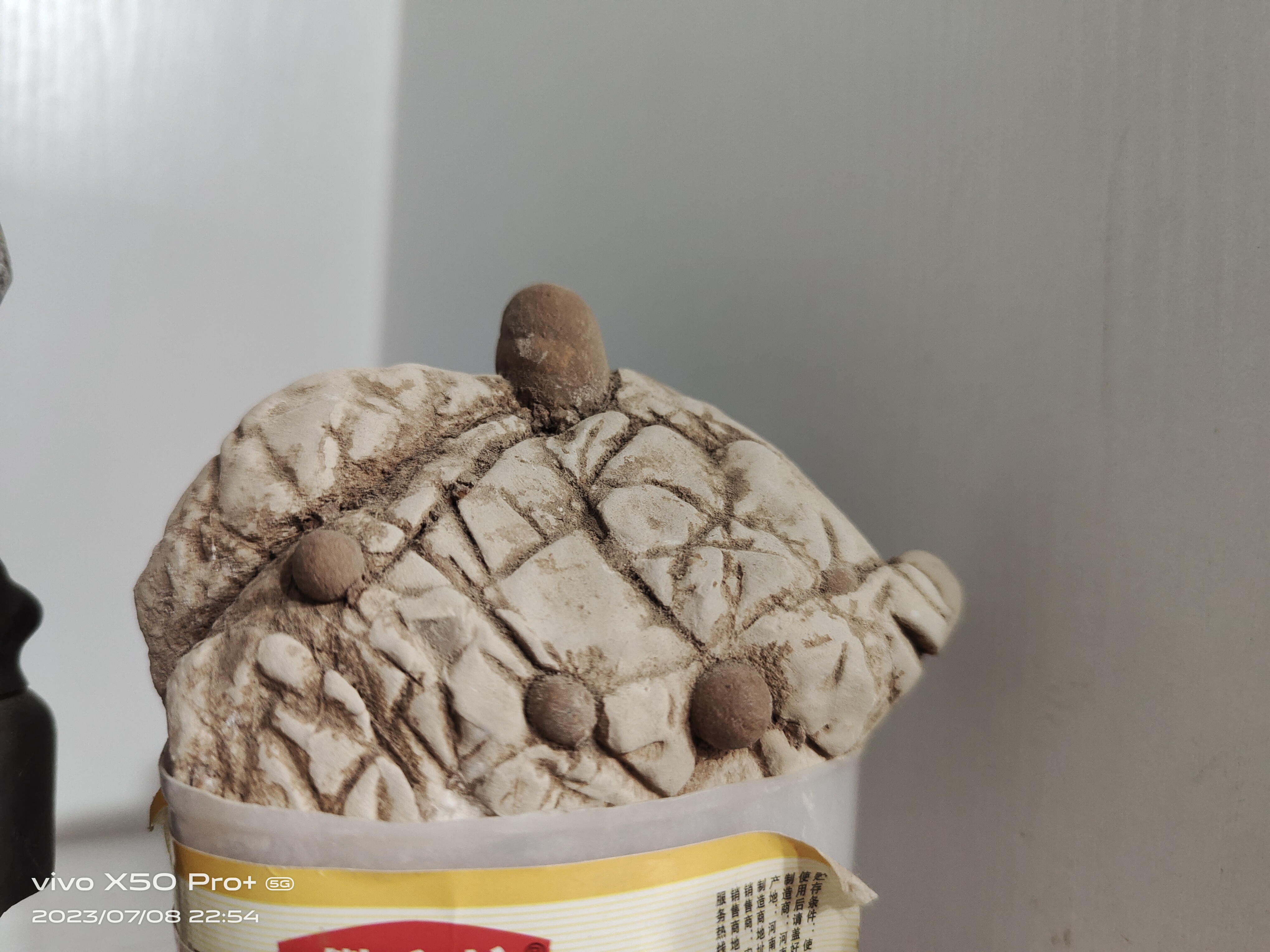 正宗灵璧县渔沟镇白马纹石精品