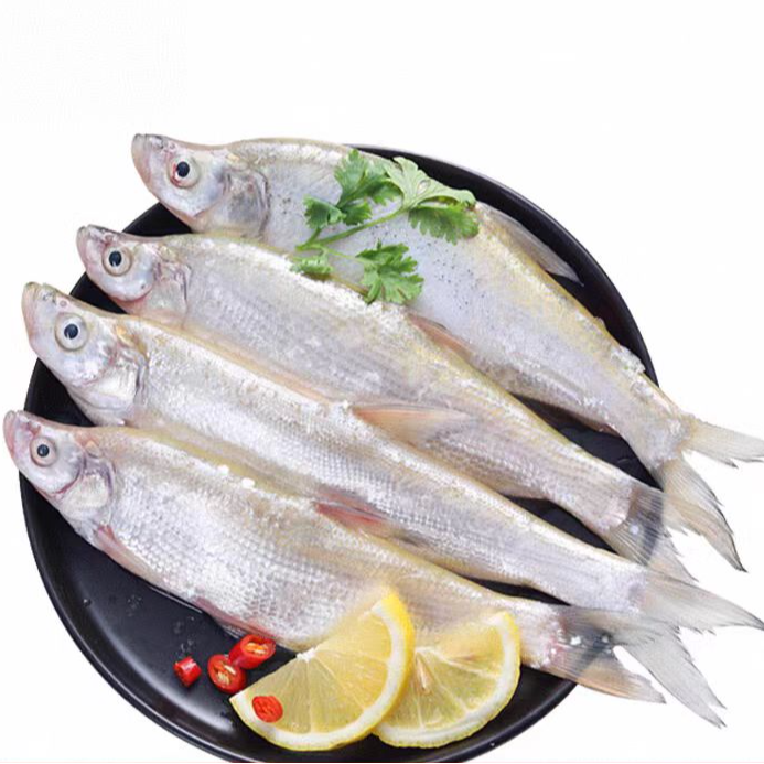 查干湖有机大白鱼 一箱十斤多条，单条一斤以下