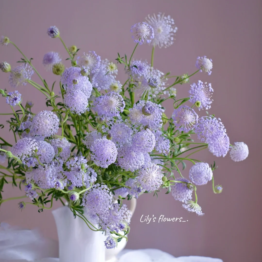 【全疆京东包邮】翠珠一把（颜色随机）