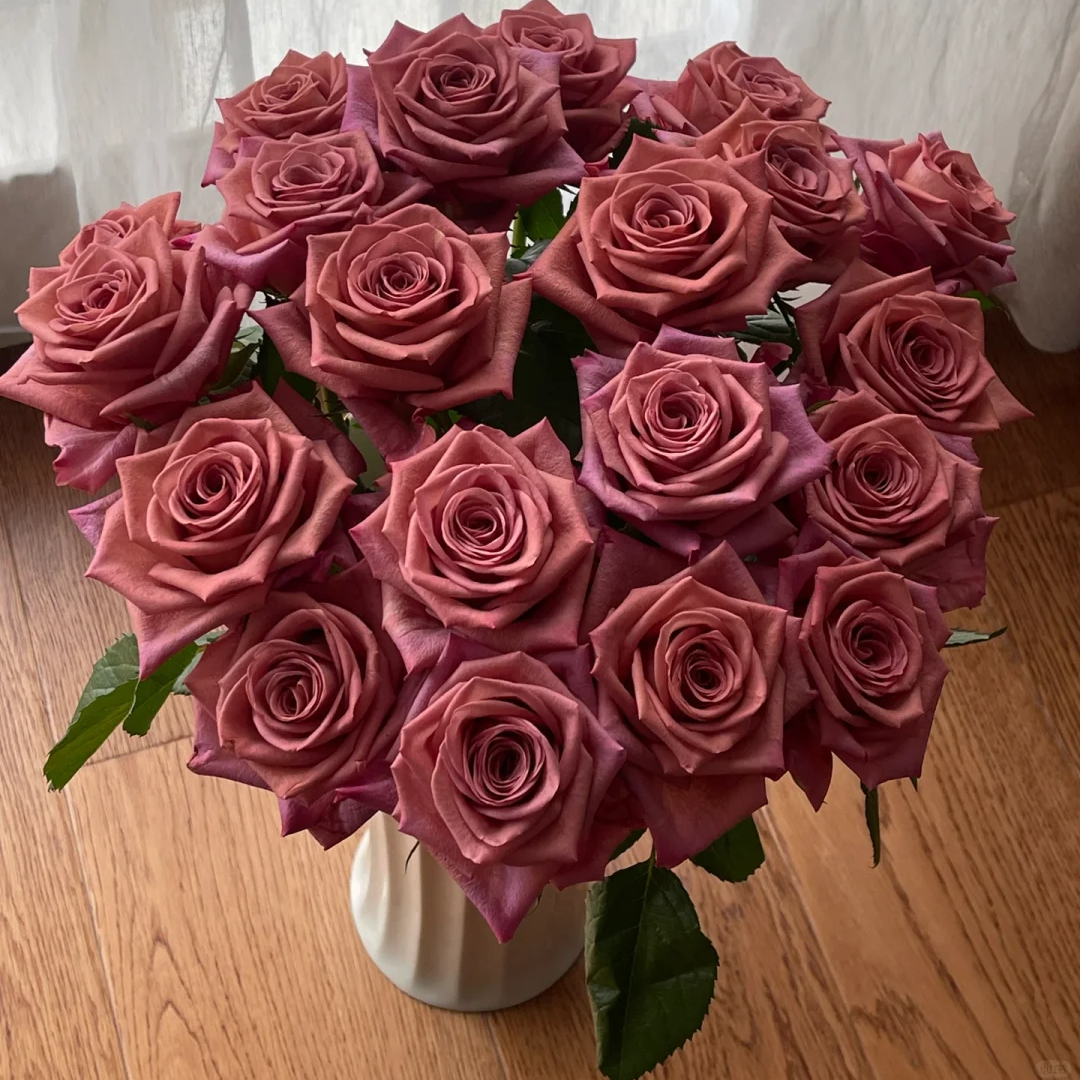 【全疆顺丰包邮】调香师玫瑰 16枝（多给4枝售后）