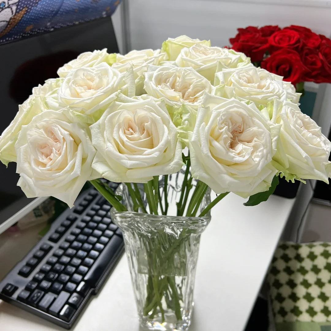 【全疆任意两单京东包邮】白荔枝玫瑰10支 