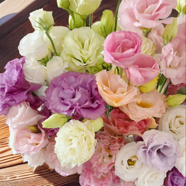 【只发新疆顺丰包邮】洋桔梗（白色，绿色，香槟色随机300克）