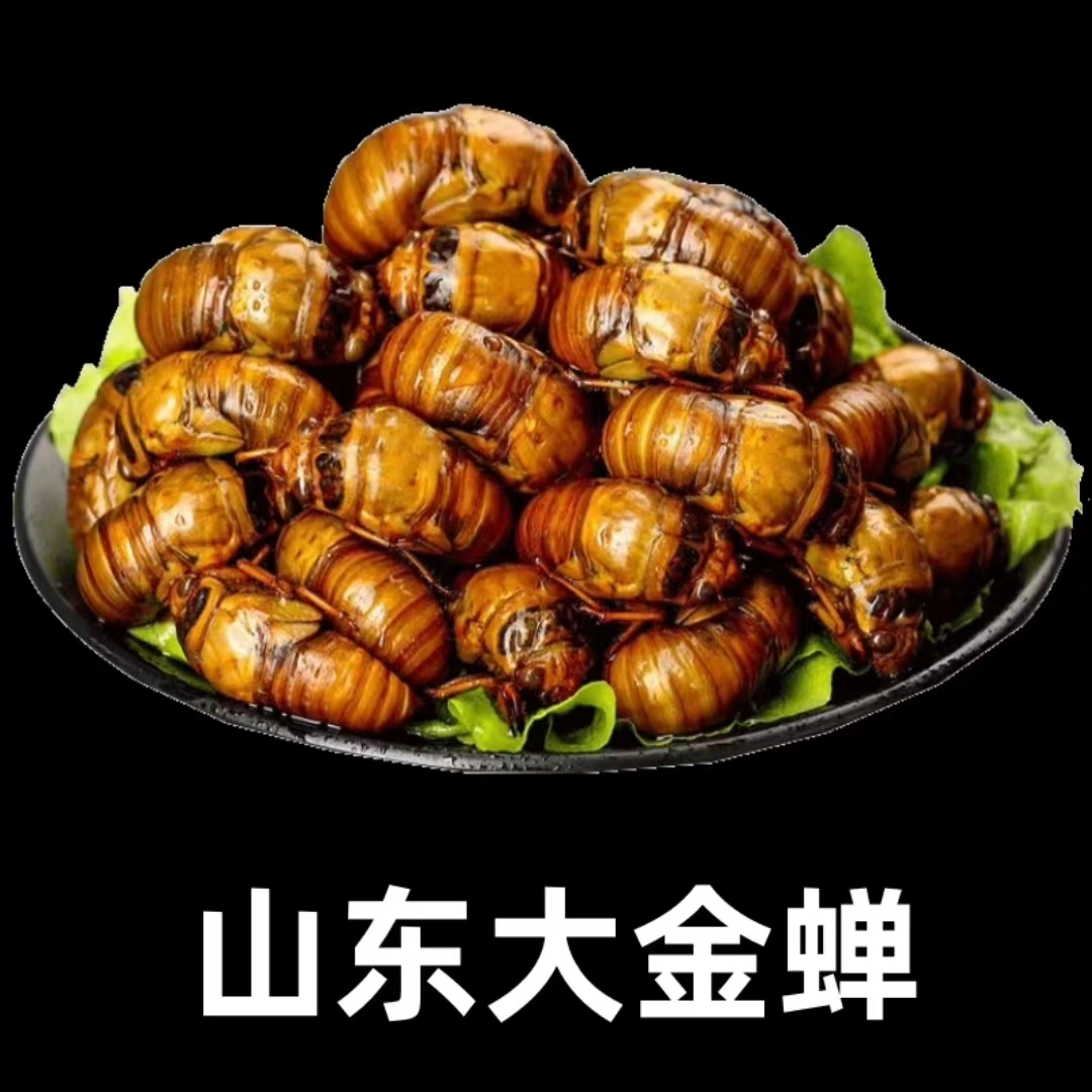 山东梨园爬叉 小小牛 结了龟 知了猴装瓶 京东包邮